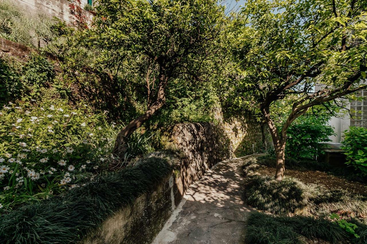 Boka Apartment 4 Herceg Novi Bagian luar foto