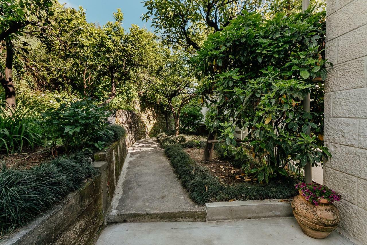 Boka Apartment 4 Herceg Novi Bagian luar foto
